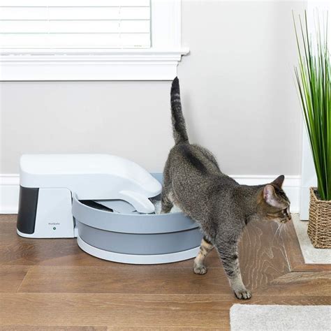 The 5 Best Cat Litter Boxes of 2024 